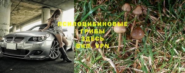 PSILOCYBIN Костерёво