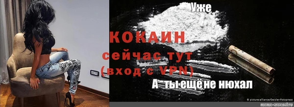 шишки Козловка