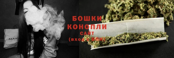 шишки Козловка